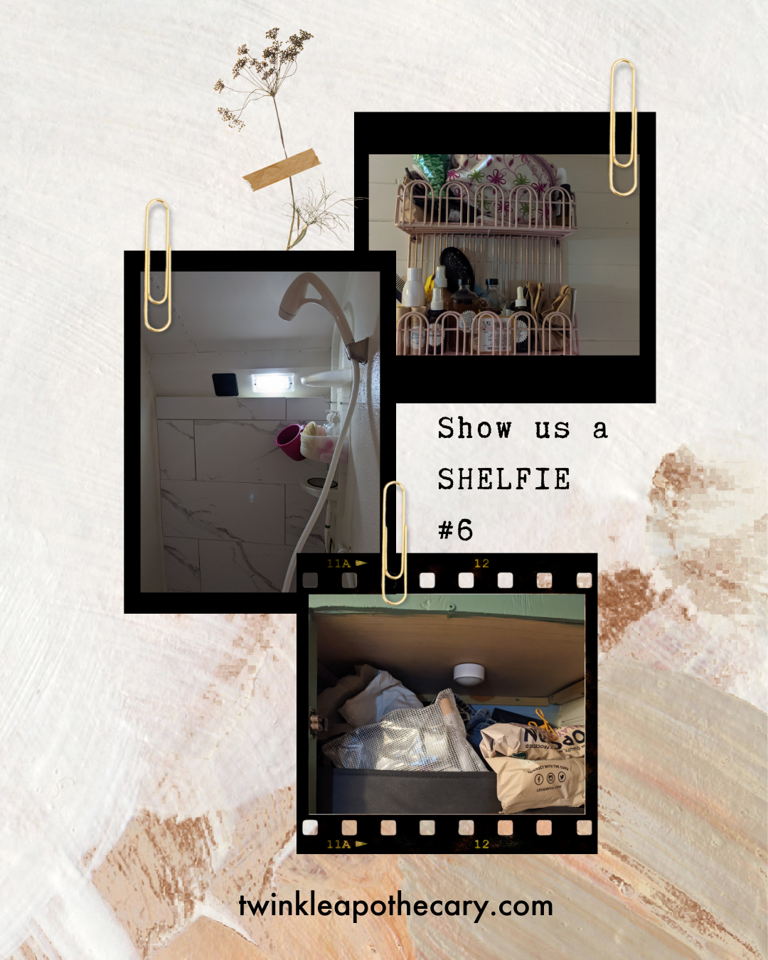 Show Us A SHELFie #6