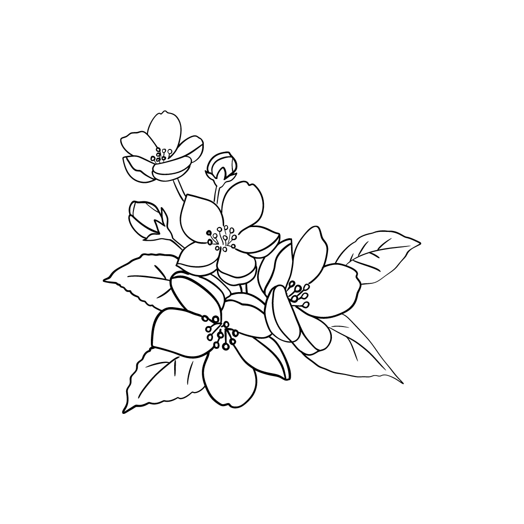 April 2024 Surprise Scent Mood Board