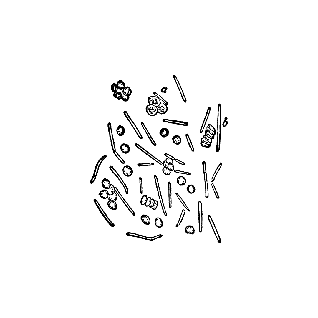 What is Microbiome-Friendly Skincare?