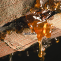 Amber