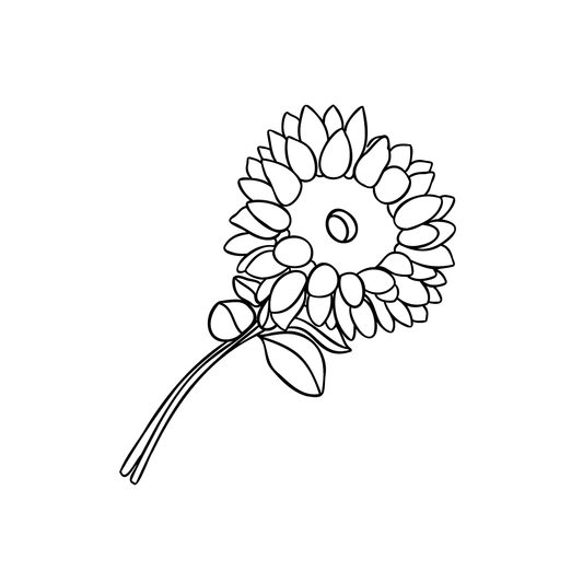 drawing of sunflower for twinkle apothecary carrier oils product listing 