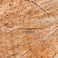 Cedar