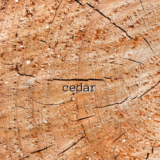 Cedar