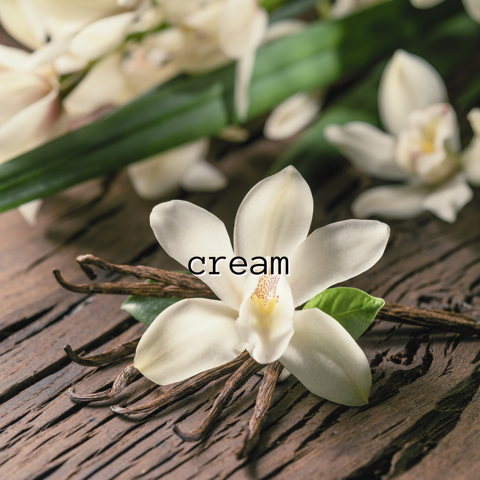Cream | Organic Layering Perfume | Twinkle Apothecary