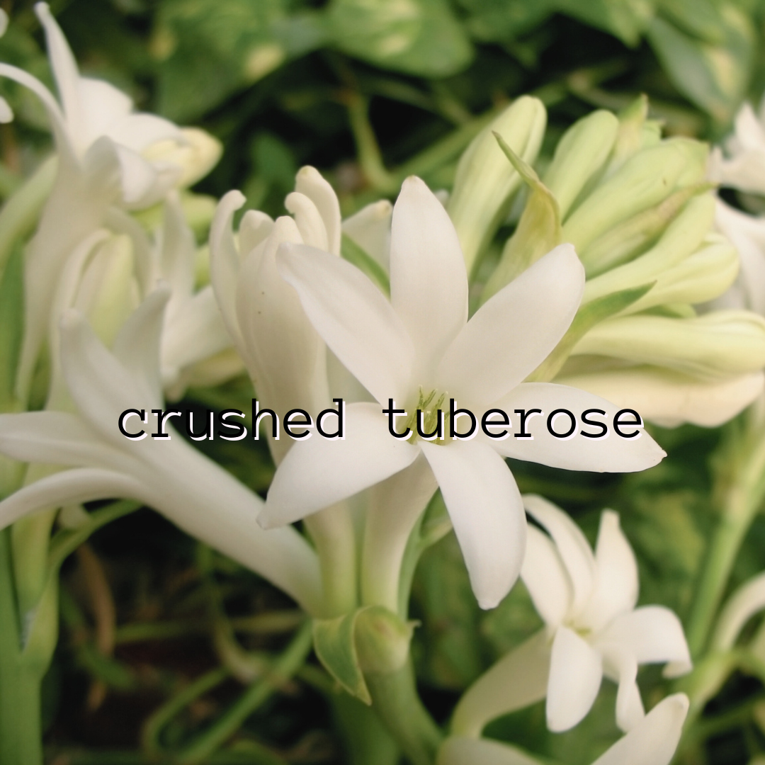 Crushed Tuberose