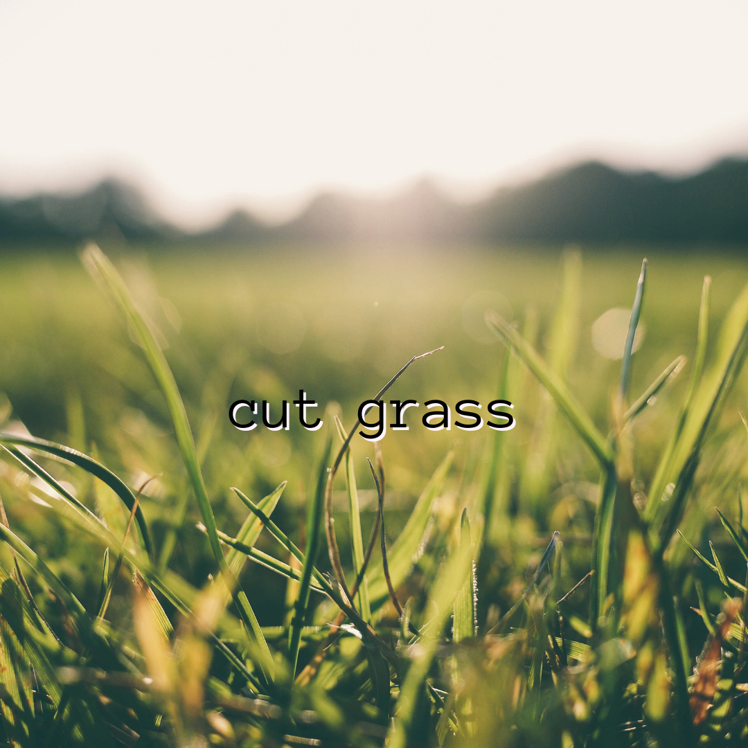 Cut Grass