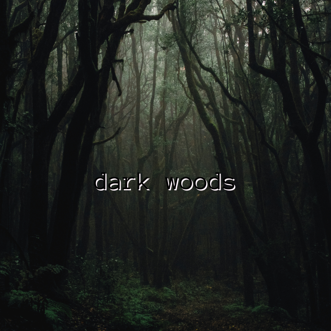 Dark Woods