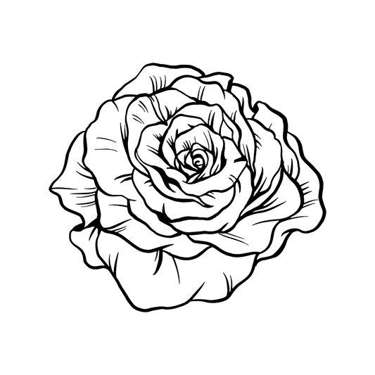 black and white rose drawing for twinkle apothecary dry shampoo product listing 