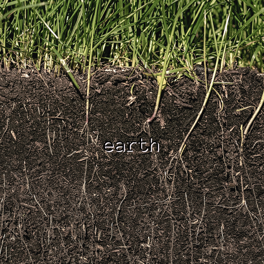 Earth