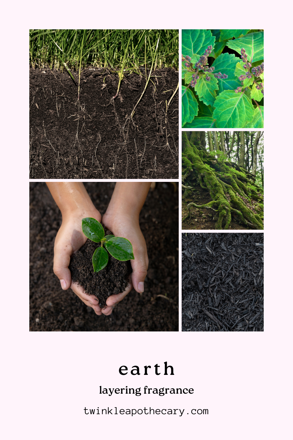 Earth