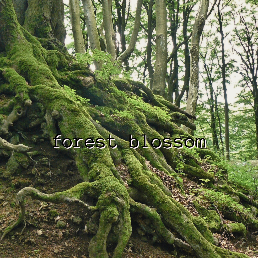 Forest Blossom - To Be Retired