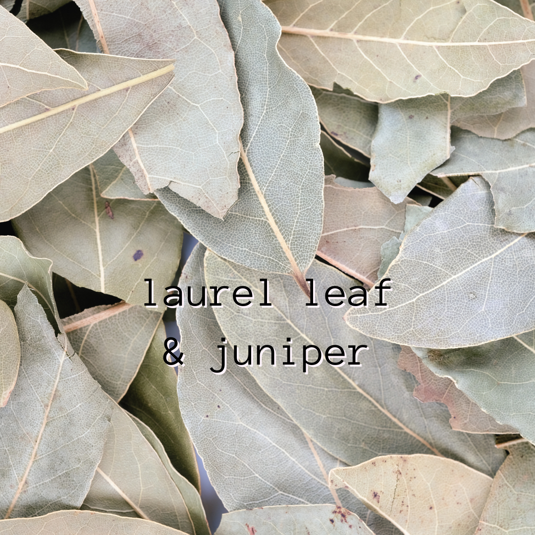 Laurel Leaf & Juniper