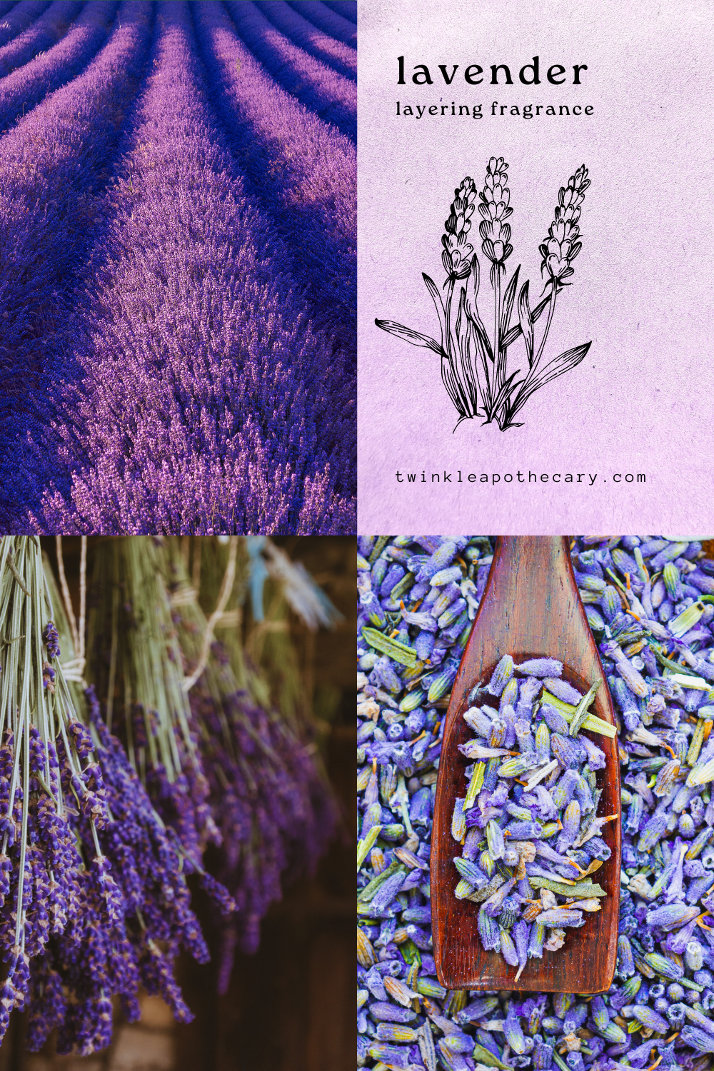 Lavender