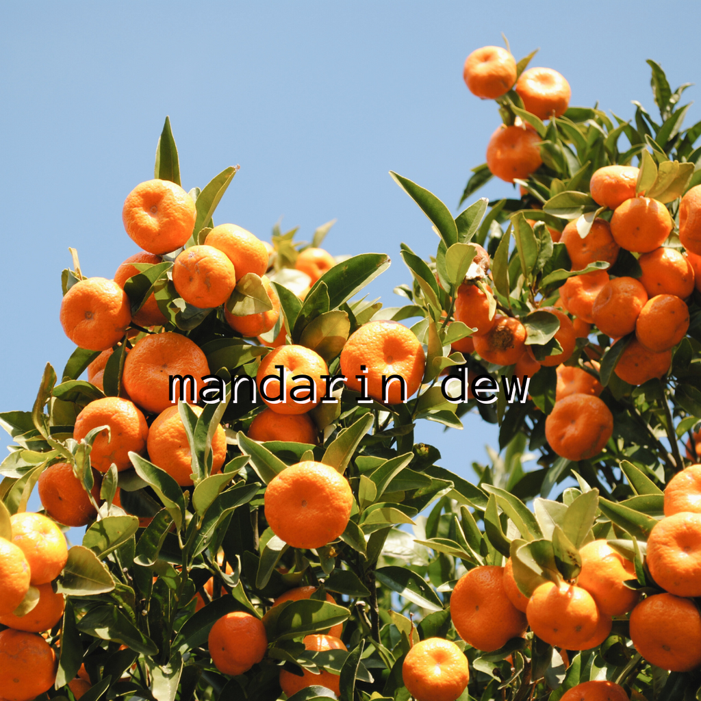 Mandarin Dew