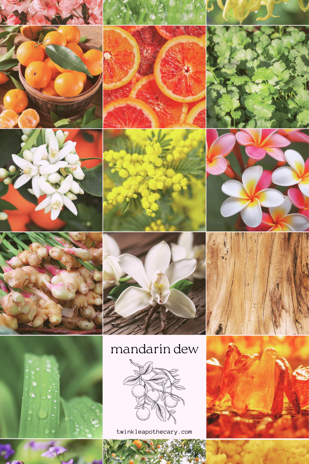 Mandarin Dew