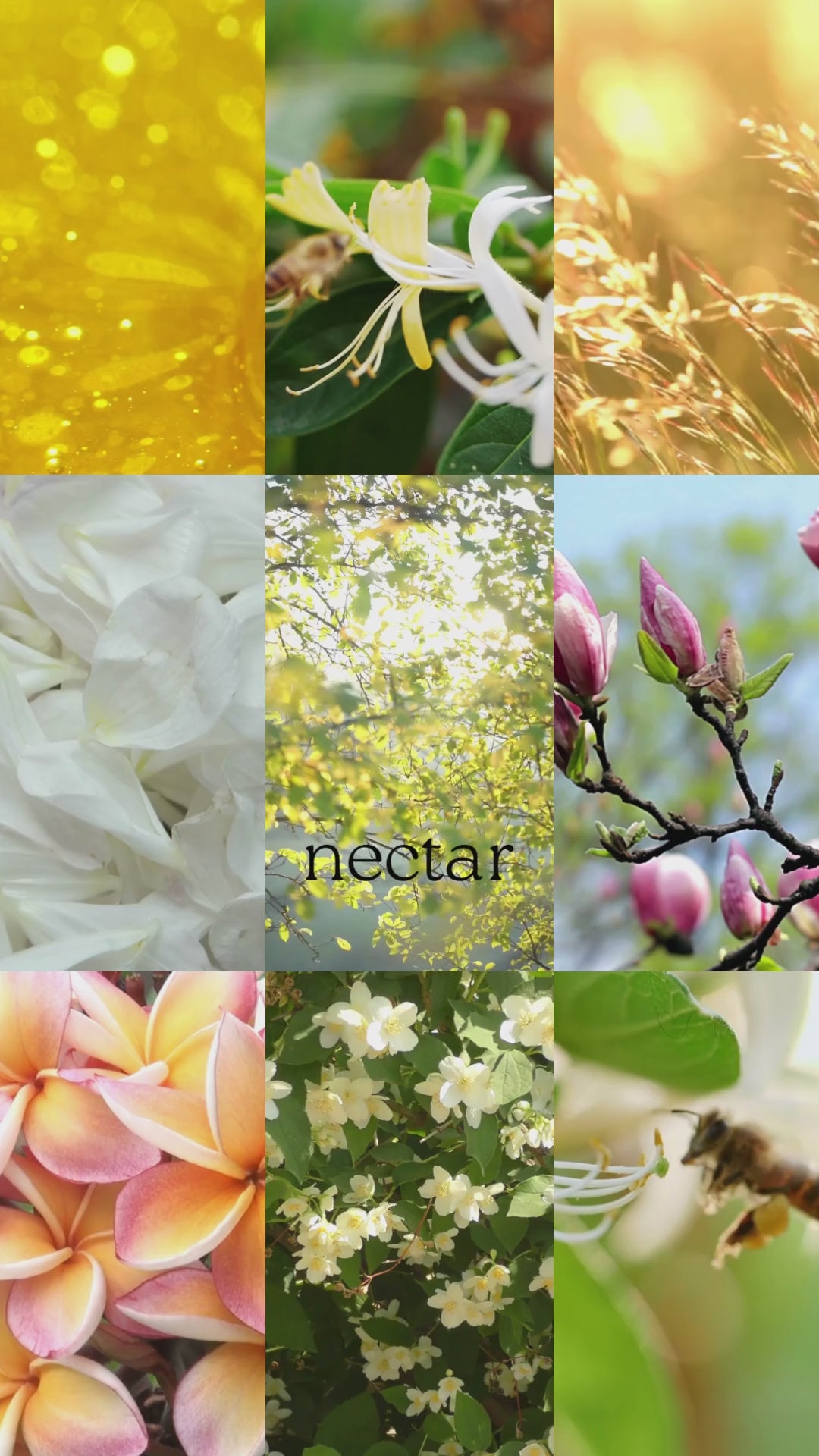 Nectar
