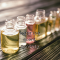 Surprise Scent Monthly