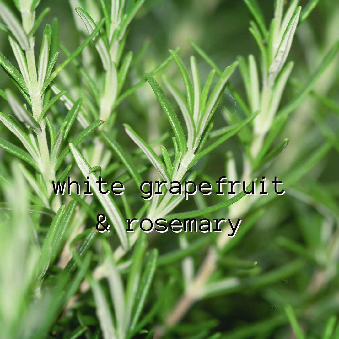 White Grapefruit & Rosemary