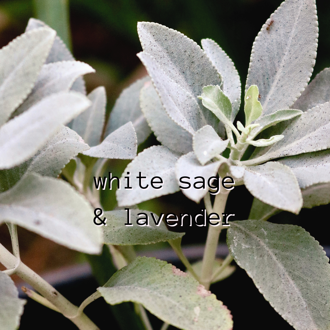 White Sage & Lavender
