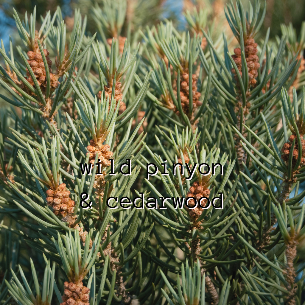 Wild Pinyon & Cedarwood