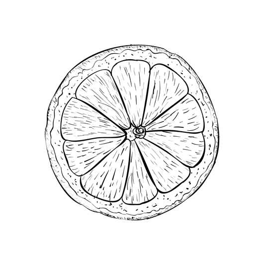 black and white drawing of citrus fruit for twinkle apothecary zest natural perfume listing 