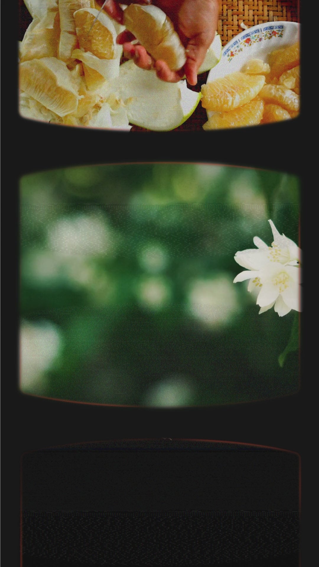 Jasmine Dirt